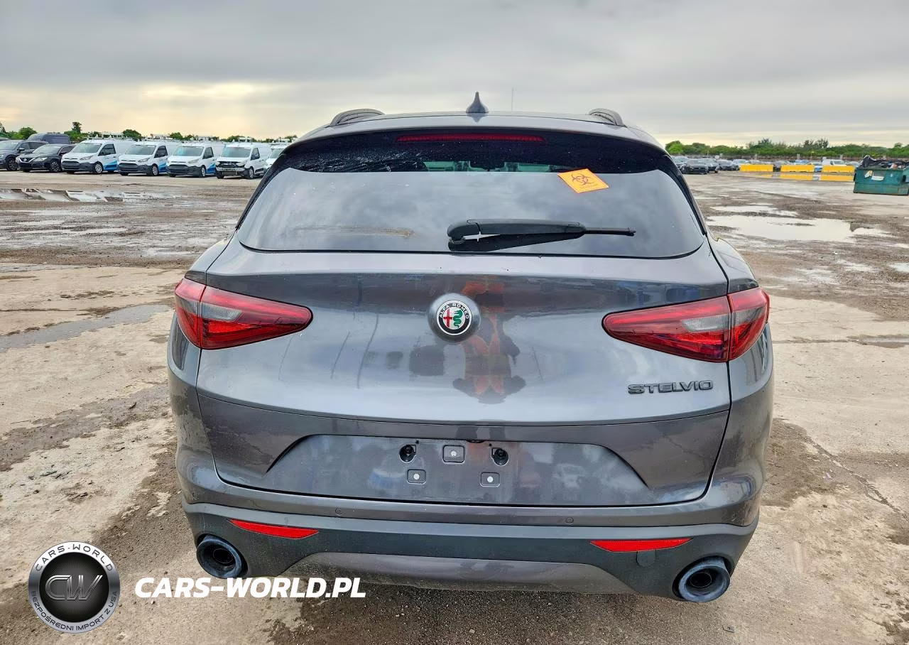 2019 Alfa Romeo Stelvio VIN:ZASPAJAN6K7C60321 - 6