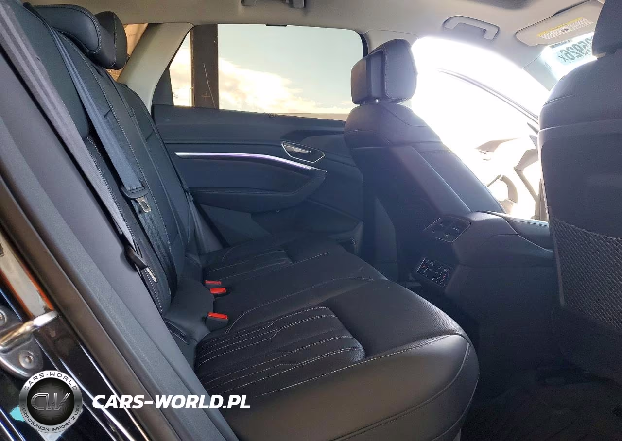 2024 Audi Q8 E-Tron Prestige VIN:WA16AAGE1RB062551 - 10