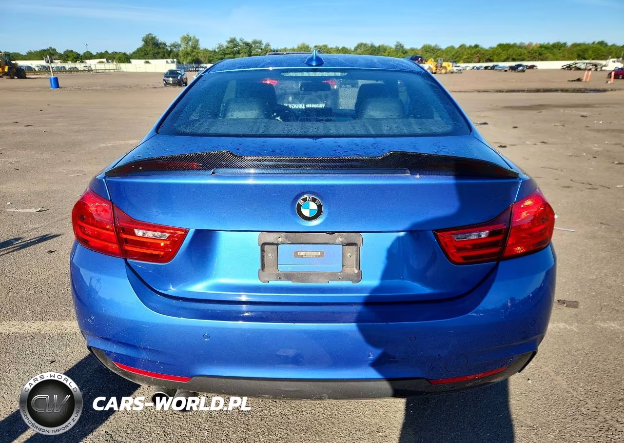 2017 BMW 430Xi VIN:WBA4R9C5XHK878597 - 6