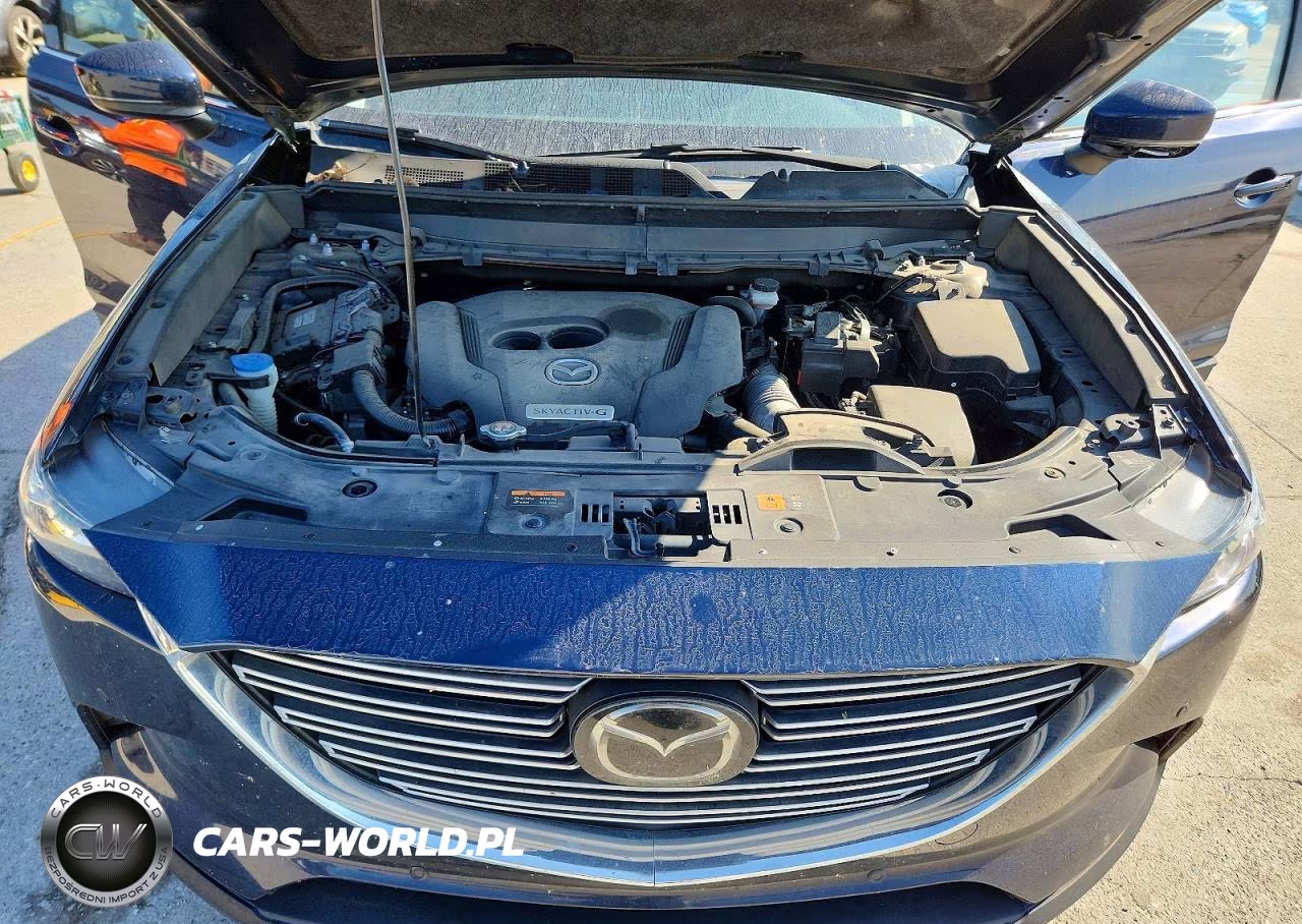 2021 Mazda Cx-9 Touring VIN:JM3TCACY1M0508213 - 12