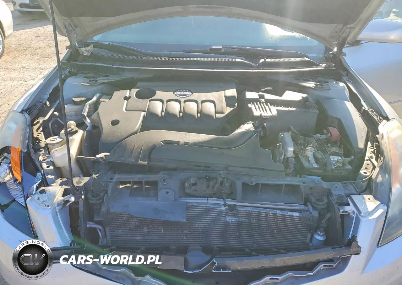2009 Nissan Altima 2.5 VIN:1N4AL21E89N463379 - 11