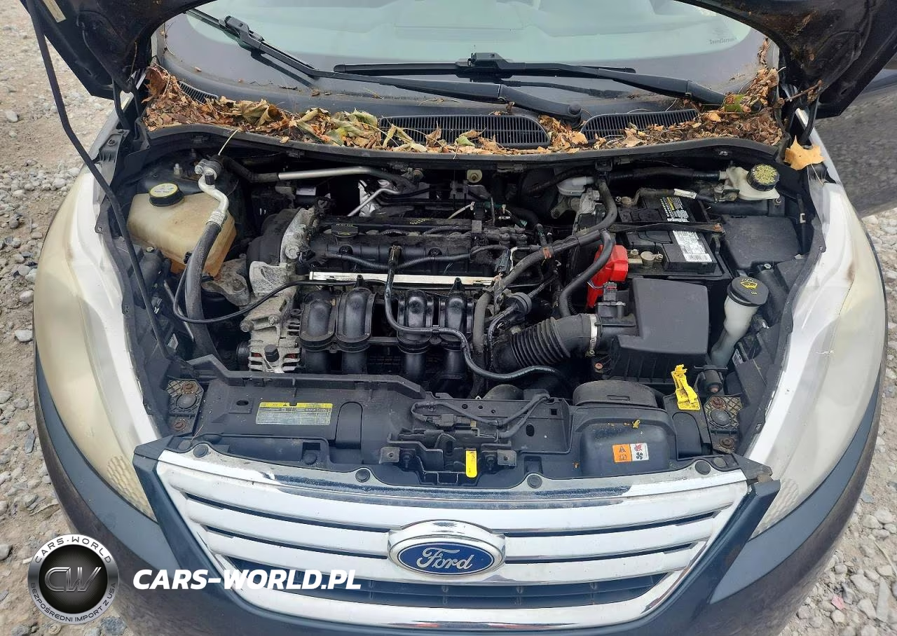 2011 Ford Fiesta Se VIN:3FADP4BJ0BM196246 - 11