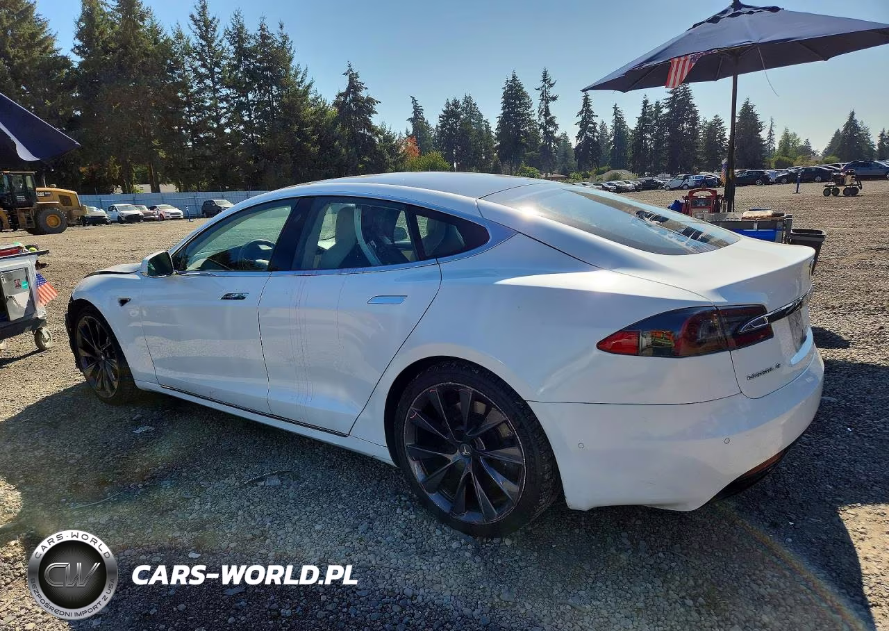 2019 Tesla Model S VIN:5YJSA1E23KF304109 - 2