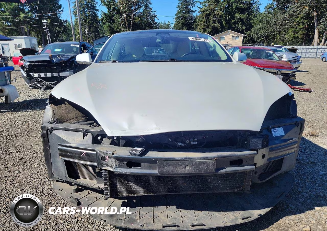 2019 Tesla Model S VIN:5YJSA1E23KF304109 - 5