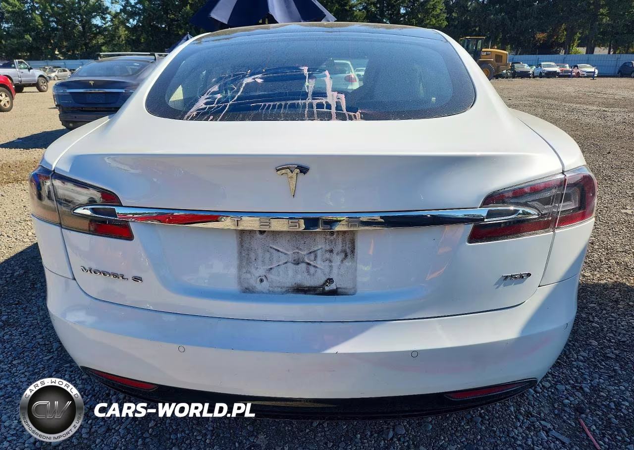 2019 Tesla Model S VIN:5YJSA1E23KF304109 - 6