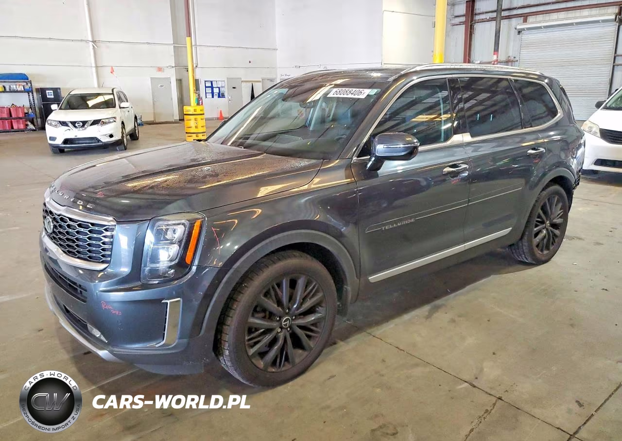 2020 Kia Telluride Sx VIN:5XYP5DHC8LG028231 - 1