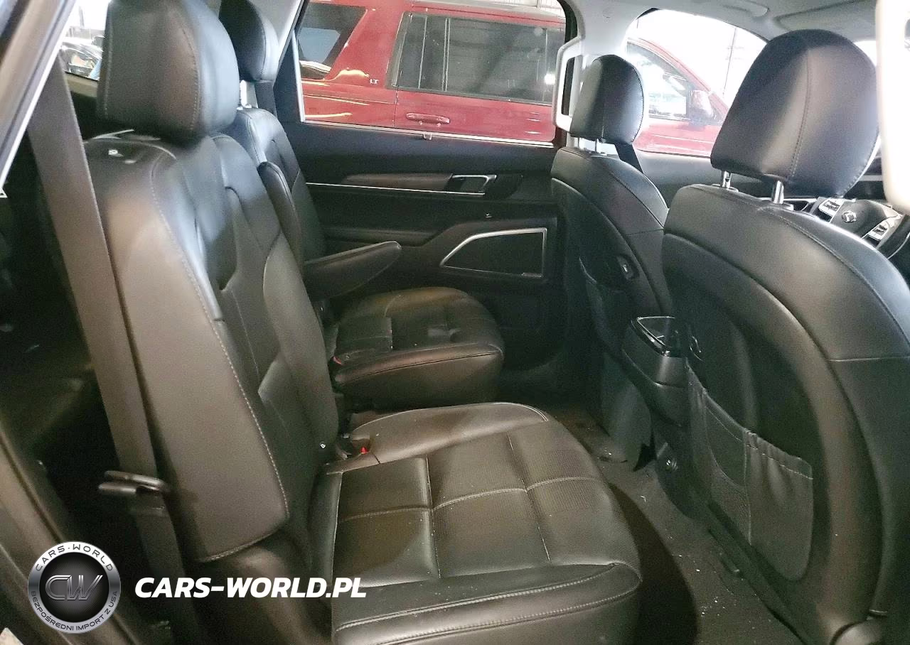 2020 Kia Telluride Sx VIN:5XYP5DHC8LG028231 - 11