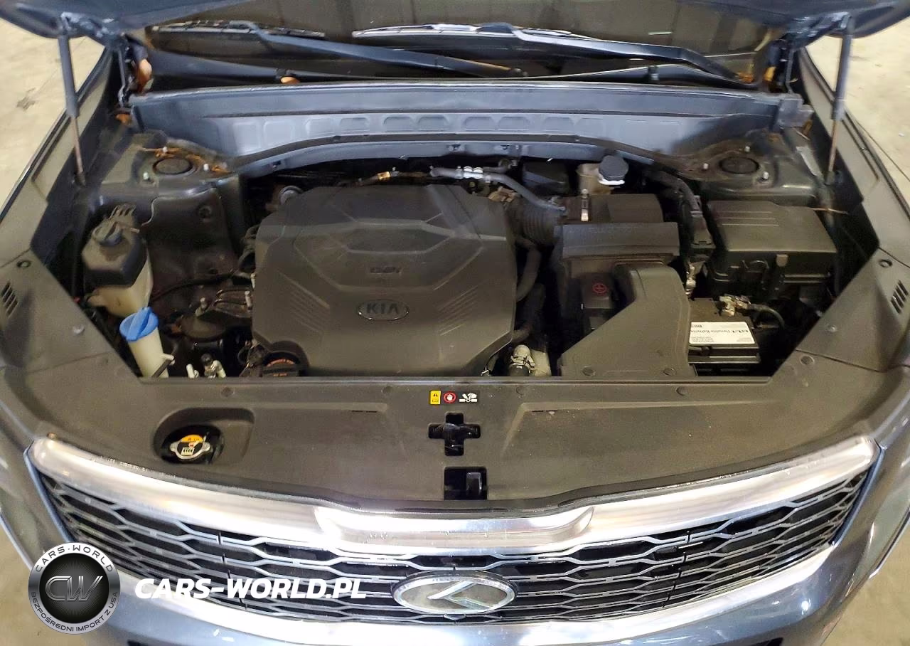 2020 Kia Telluride Sx VIN:5XYP5DHC8LG028231 - 12
