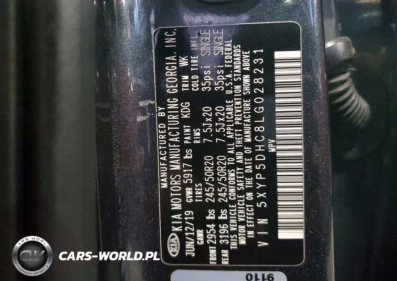 2020 Kia Telluride Sx VIN:5XYP5DHC8LG028231 - 13