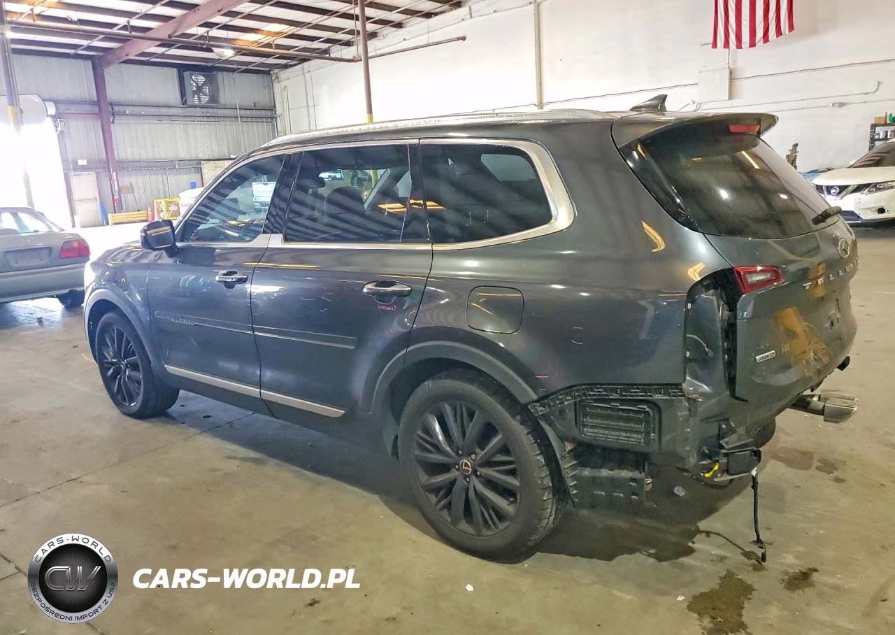 2020 Kia Telluride Sx VIN:5XYP5DHC8LG028231 - 2