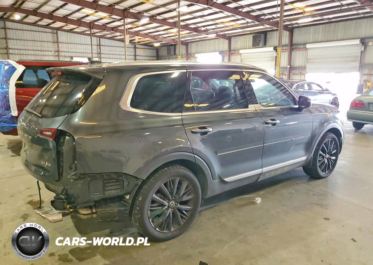 2020 Kia Telluride Sx VIN:5XYP5DHC8LG028231 - 3