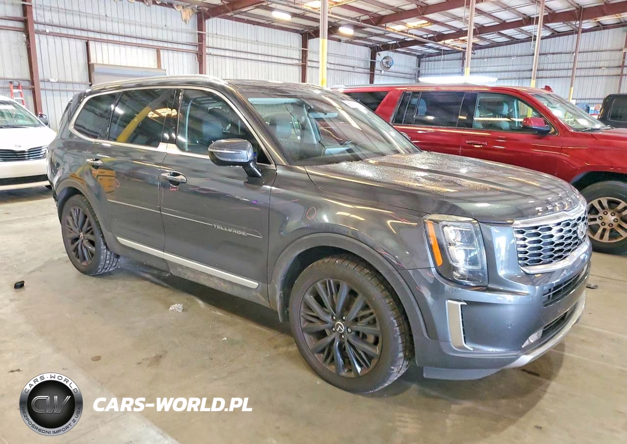 2020 Kia Telluride Sx VIN:5XYP5DHC8LG028231 - 4