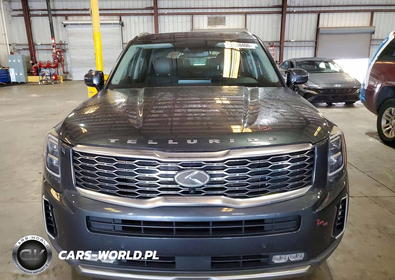 2020 Kia Telluride Sx VIN:5XYP5DHC8LG028231 - 5