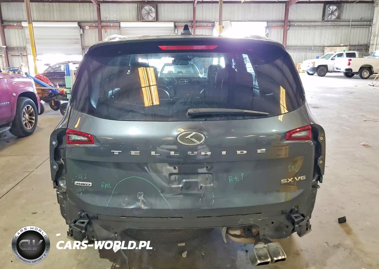 2020 Kia Telluride Sx VIN:5XYP5DHC8LG028231 - 6