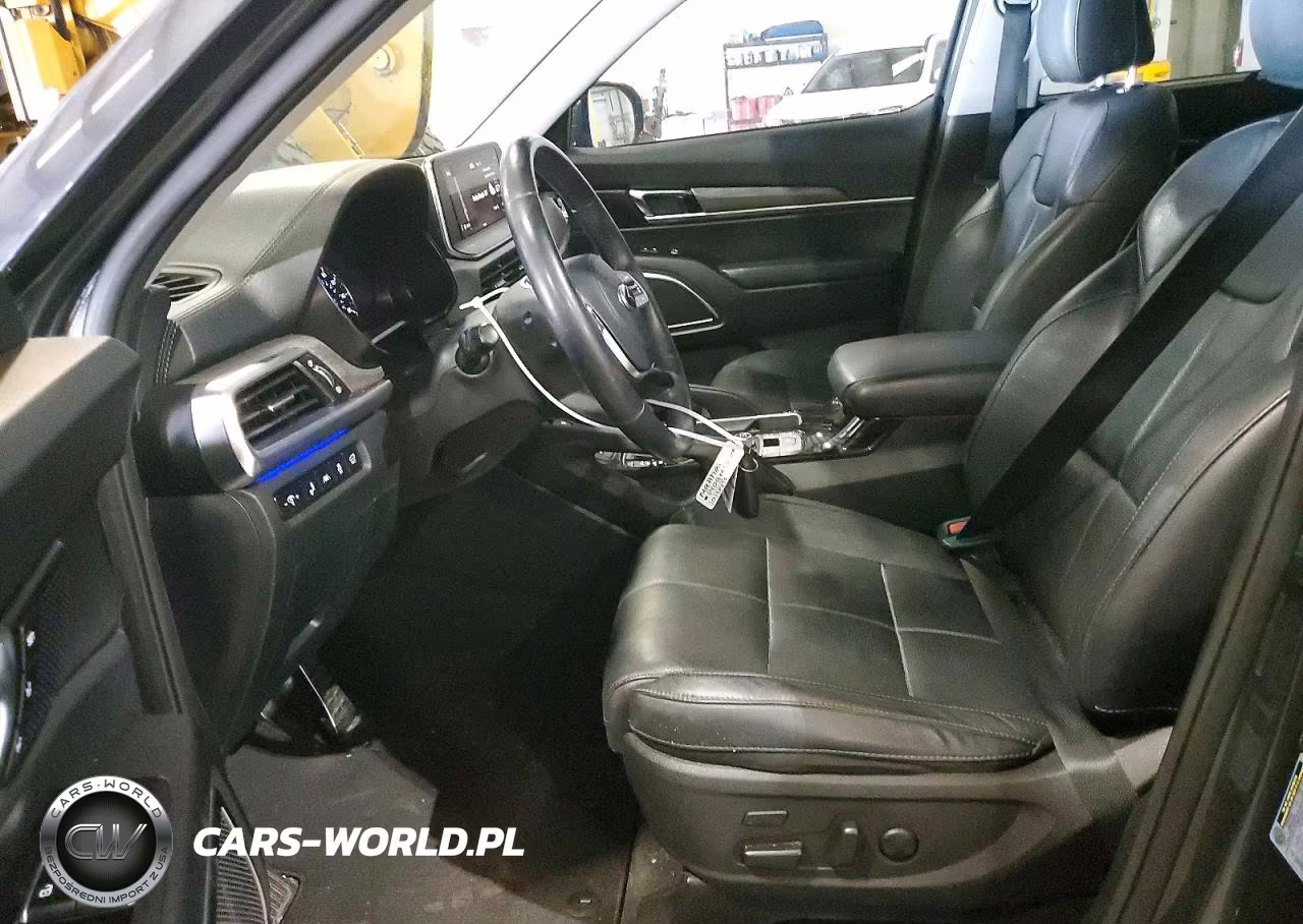 2020 Kia Telluride Sx VIN:5XYP5DHC8LG028231 - 7