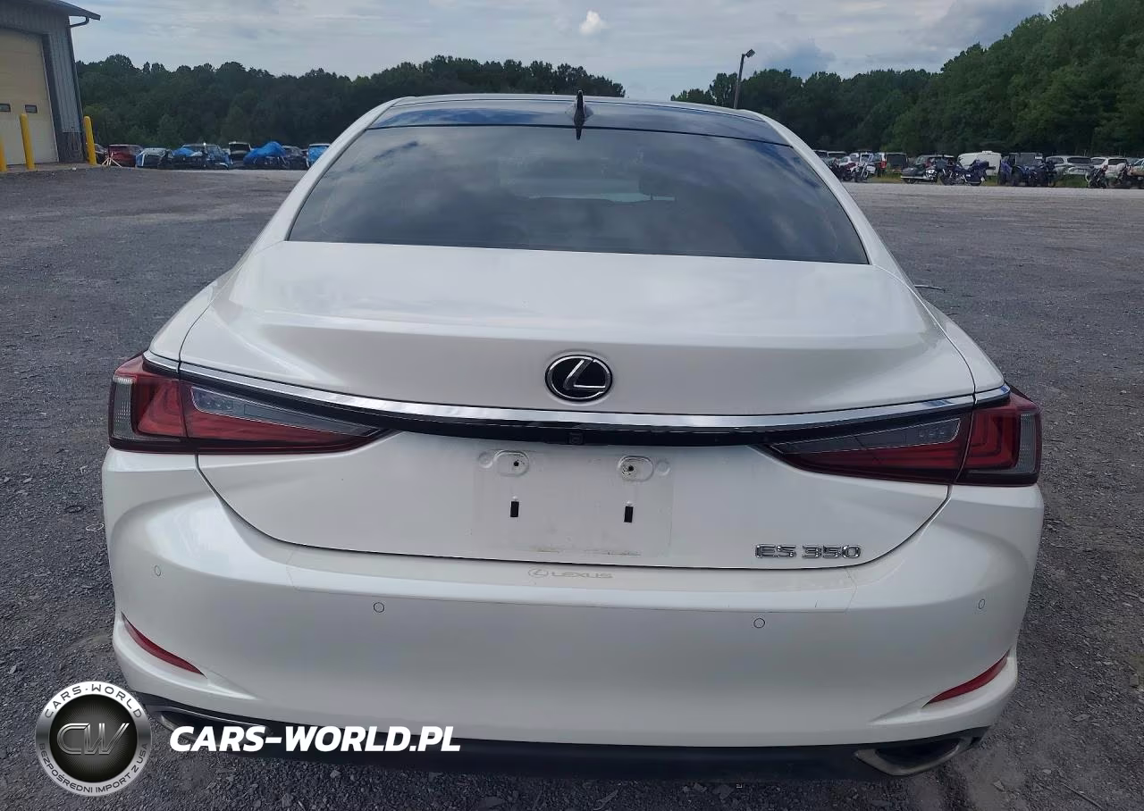 2019 Lexus Es 350 VIN:58ABZ1B11KU035947 - 6