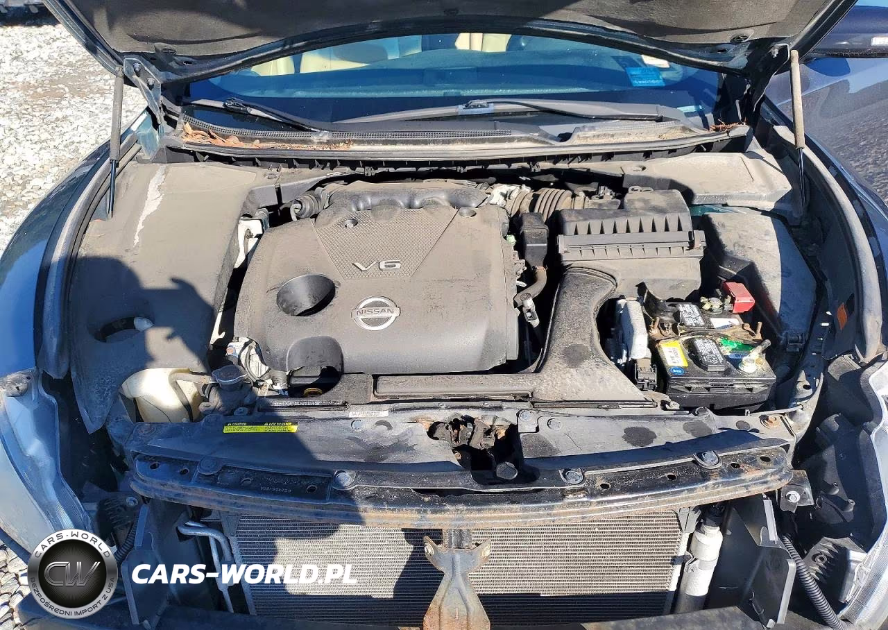 2009 Nissan Maxima 3.5 S VIN:1N4AA51E79C850461 - 11