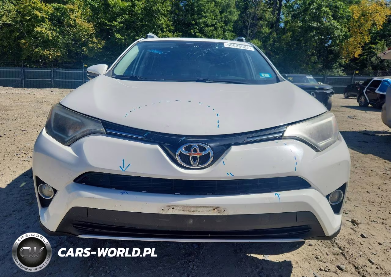2016 Toyota Rav4 Xle VIN:2T3RFREVXGW515611 - 5