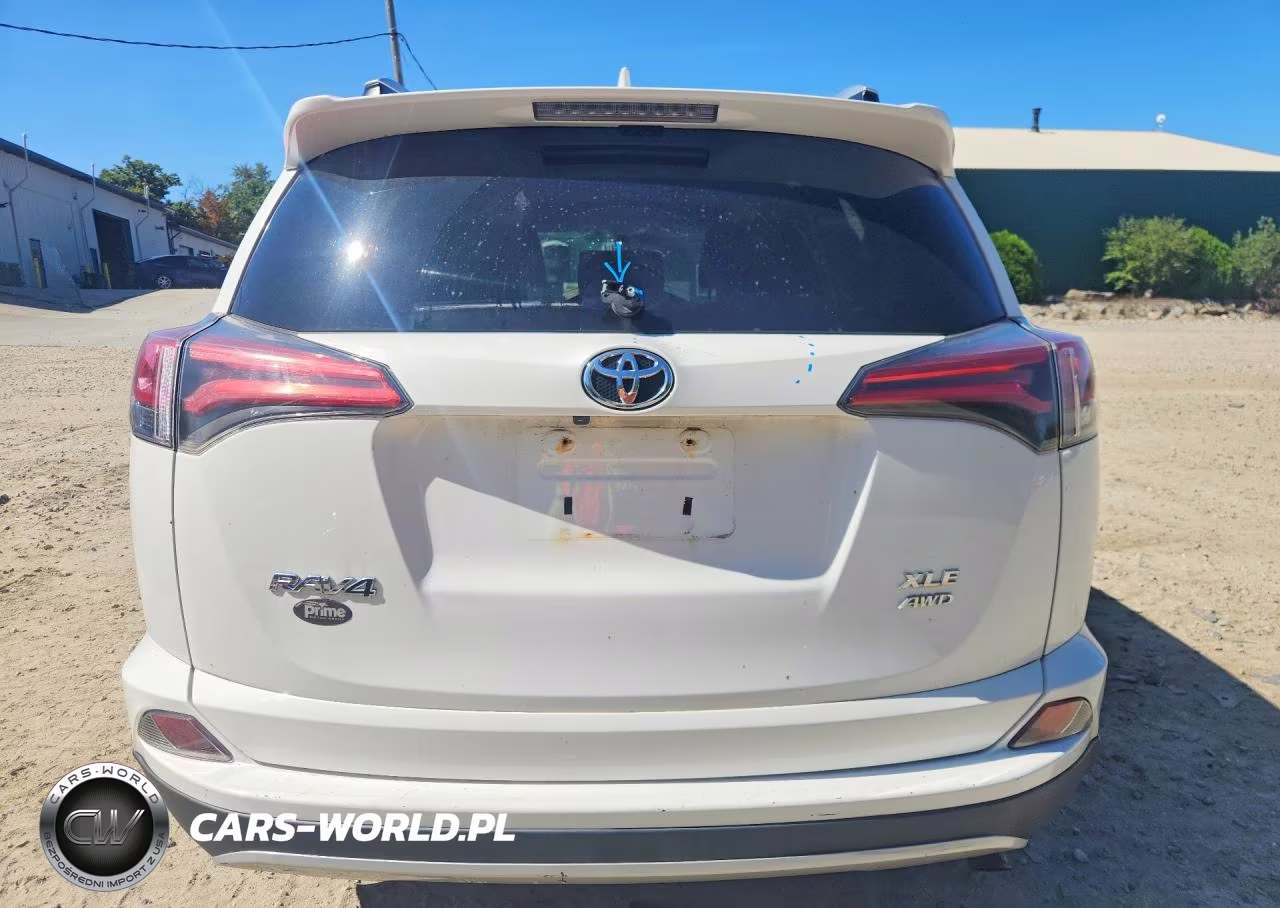 2016 Toyota Rav4 Xle VIN:2T3RFREVXGW515611 - 6