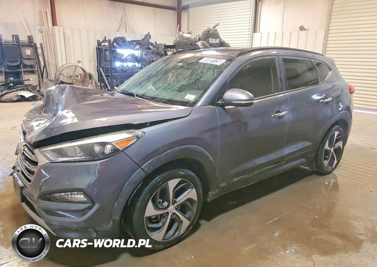 2017 Hyundai Tucson Limited VIN:KM8J33A20HU456044 - 1