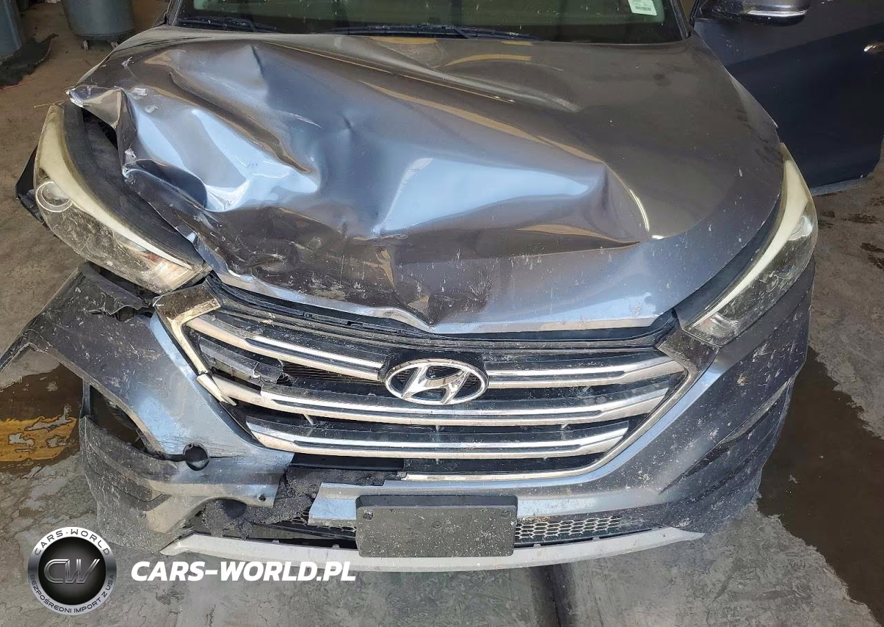 2017 Hyundai Tucson Limited VIN:KM8J33A20HU456044 - 11