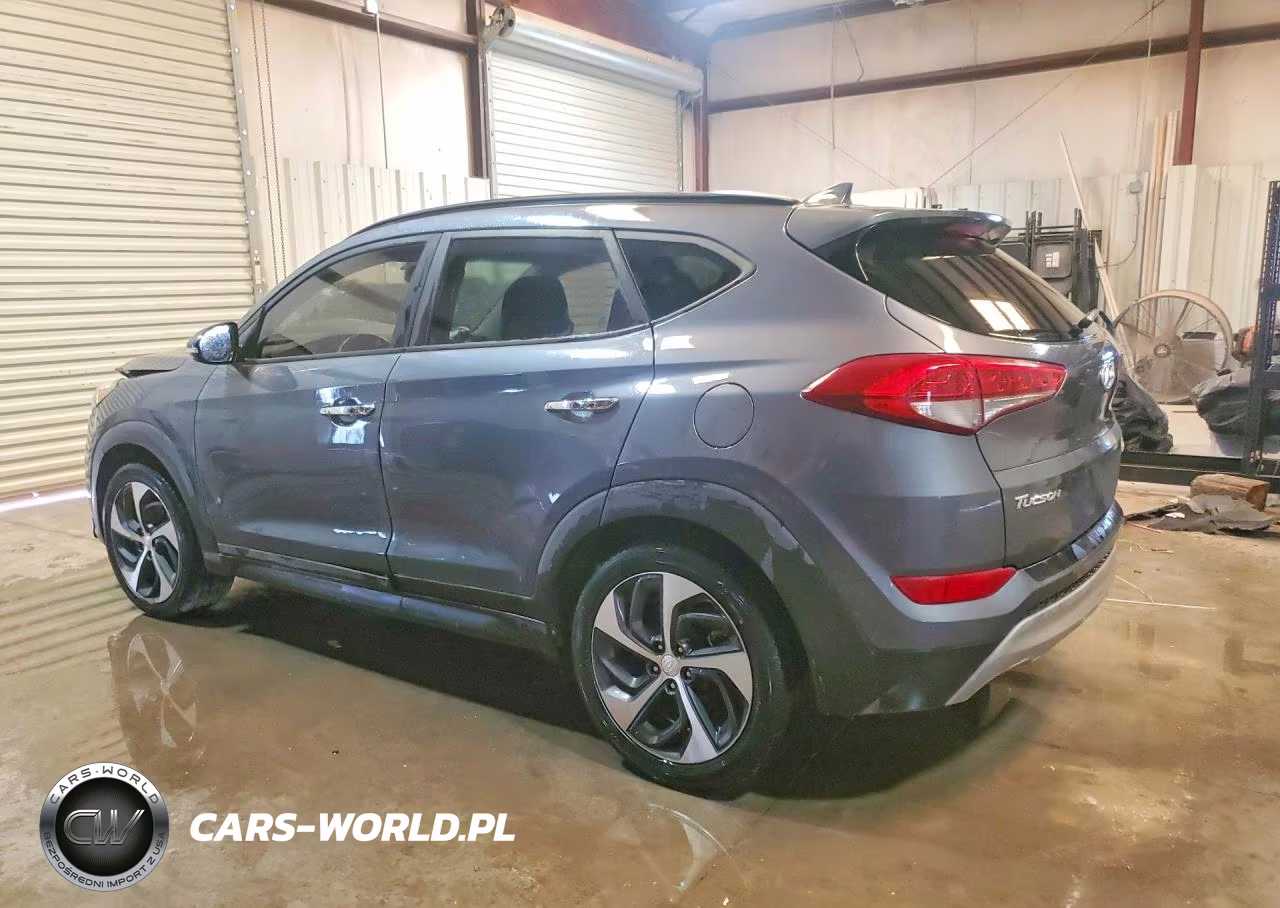 2017 Hyundai Tucson Limited VIN:KM8J33A20HU456044 - 2