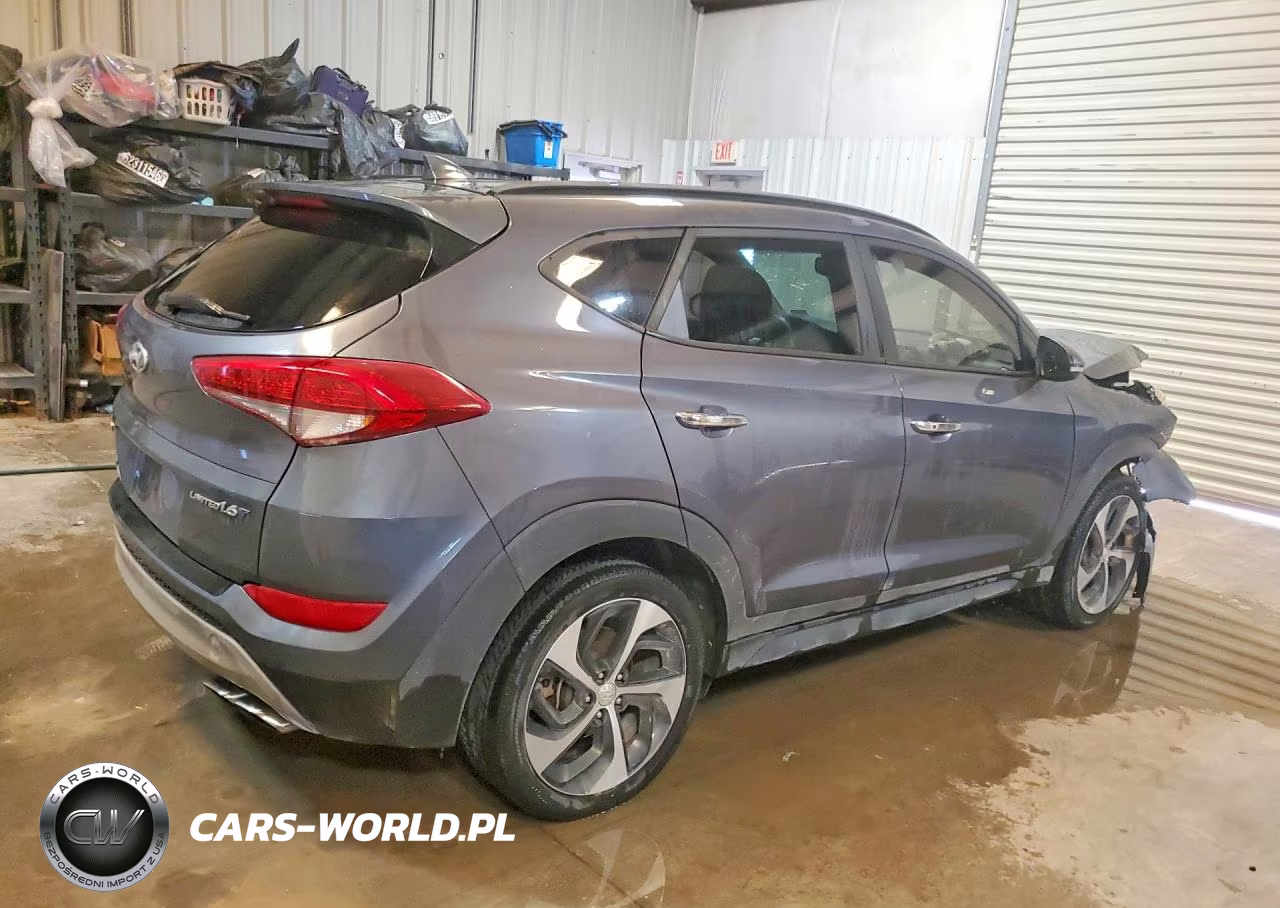 2017 Hyundai Tucson Limited VIN:KM8J33A20HU456044 - 3