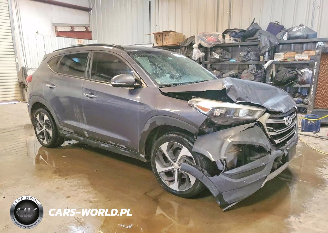 2017 Hyundai Tucson Limited VIN:KM8J33A20HU456044 - 4