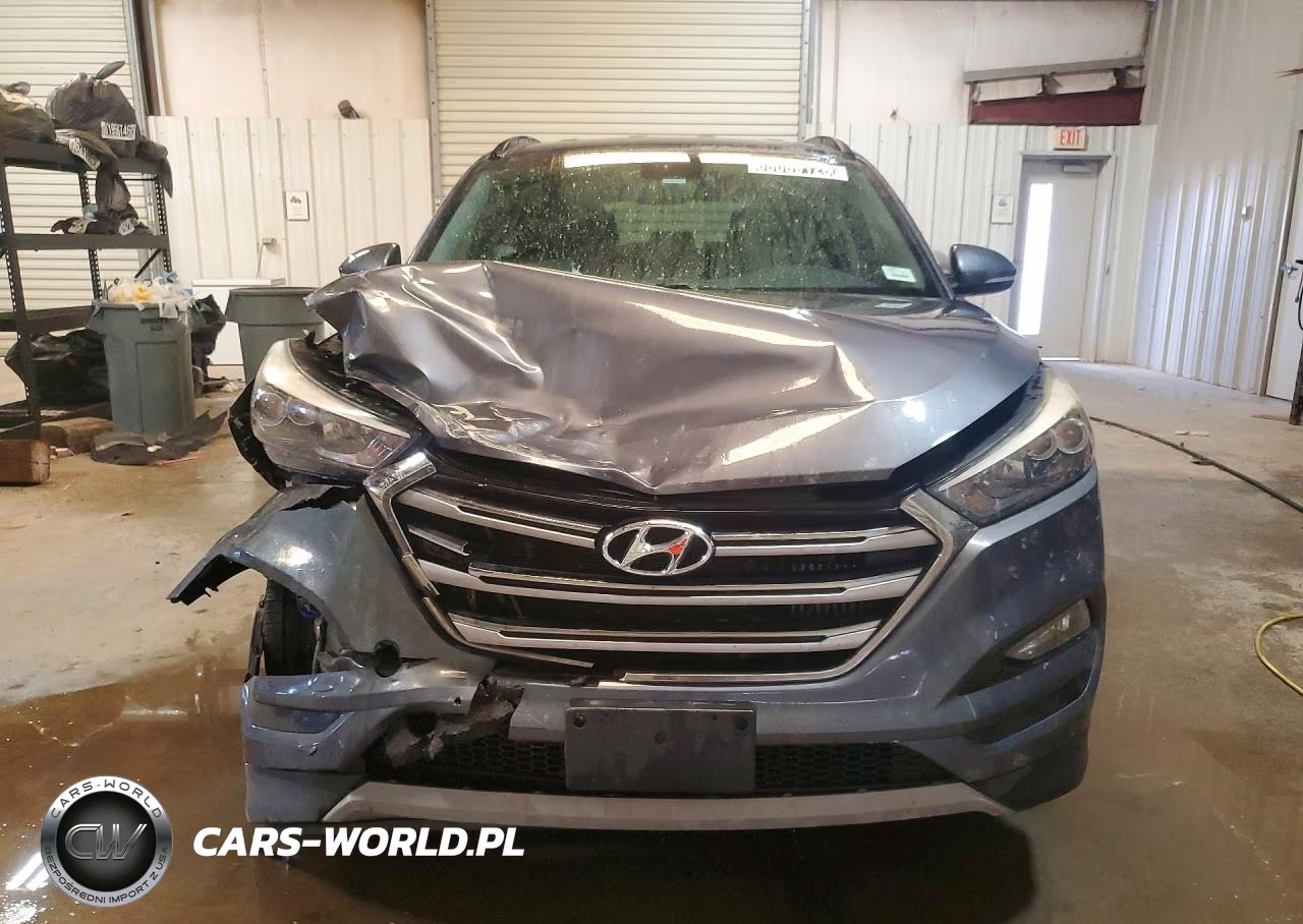 2017 Hyundai Tucson Limited VIN:KM8J33A20HU456044 - 5