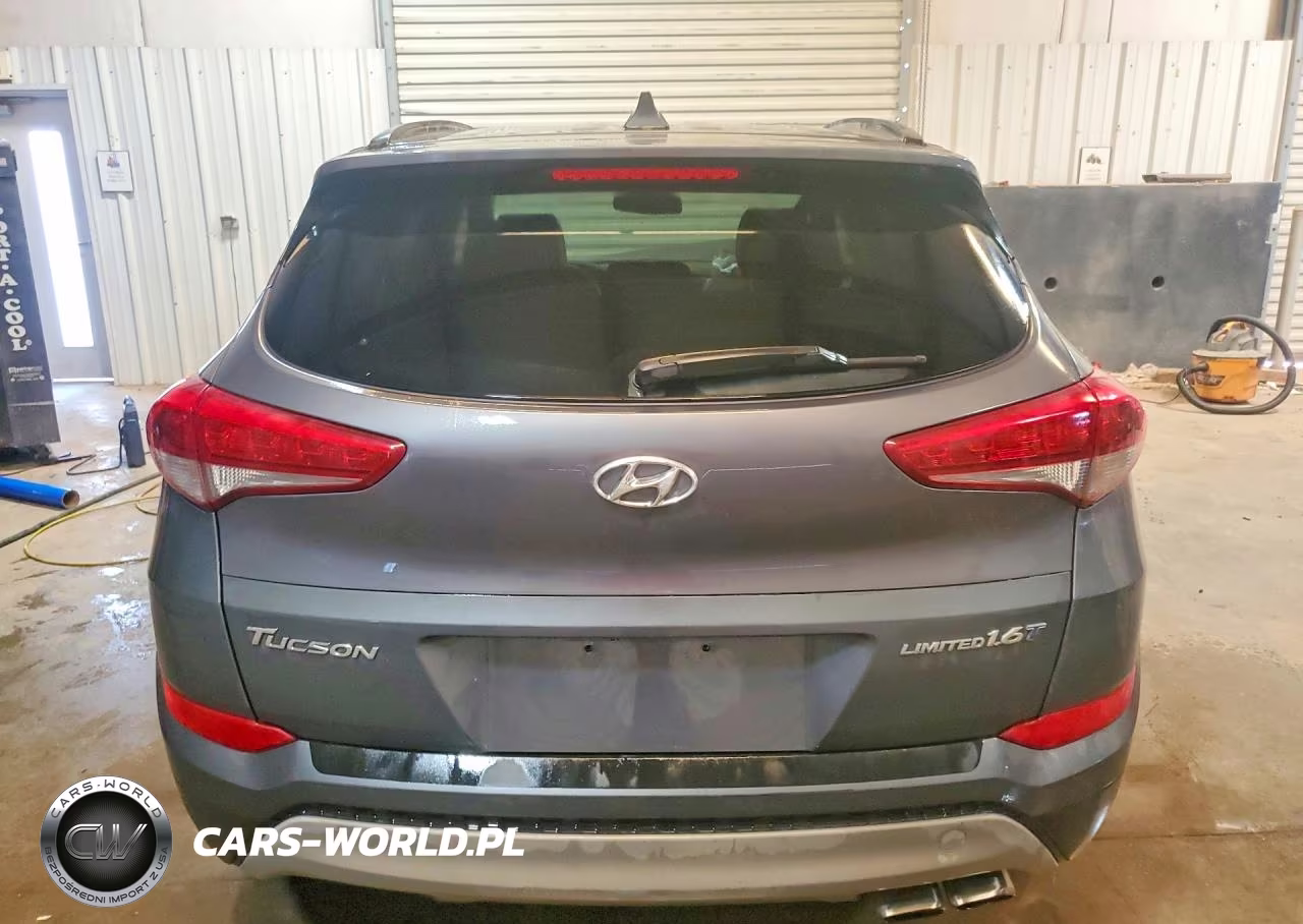 2017 Hyundai Tucson Limited VIN:KM8J33A20HU456044 - 6