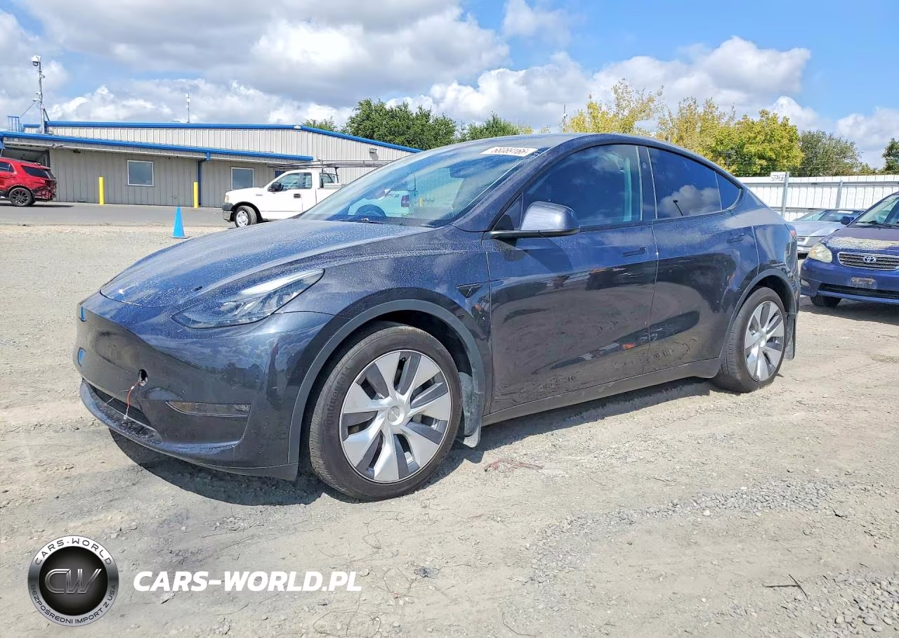 2024 Tesla Model Y