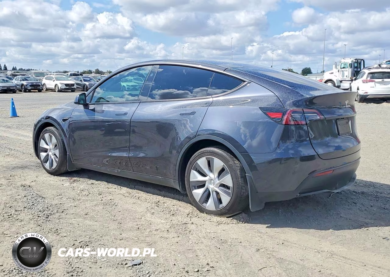 2024 Tesla Model Y VIN:7SAYGAEE1RF084761 - 2