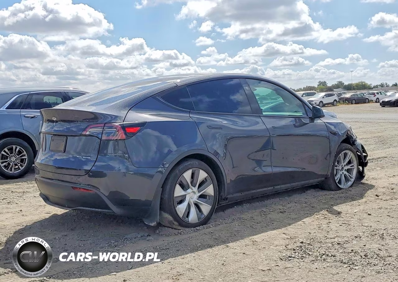 2024 Tesla Model Y VIN:7SAYGAEE1RF084761 - 3