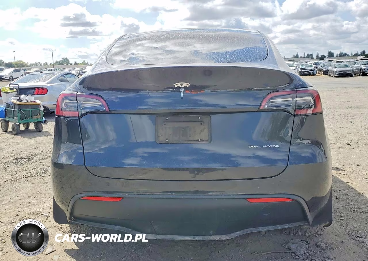 2024 Tesla Model Y VIN:7SAYGAEE1RF084761 - 6