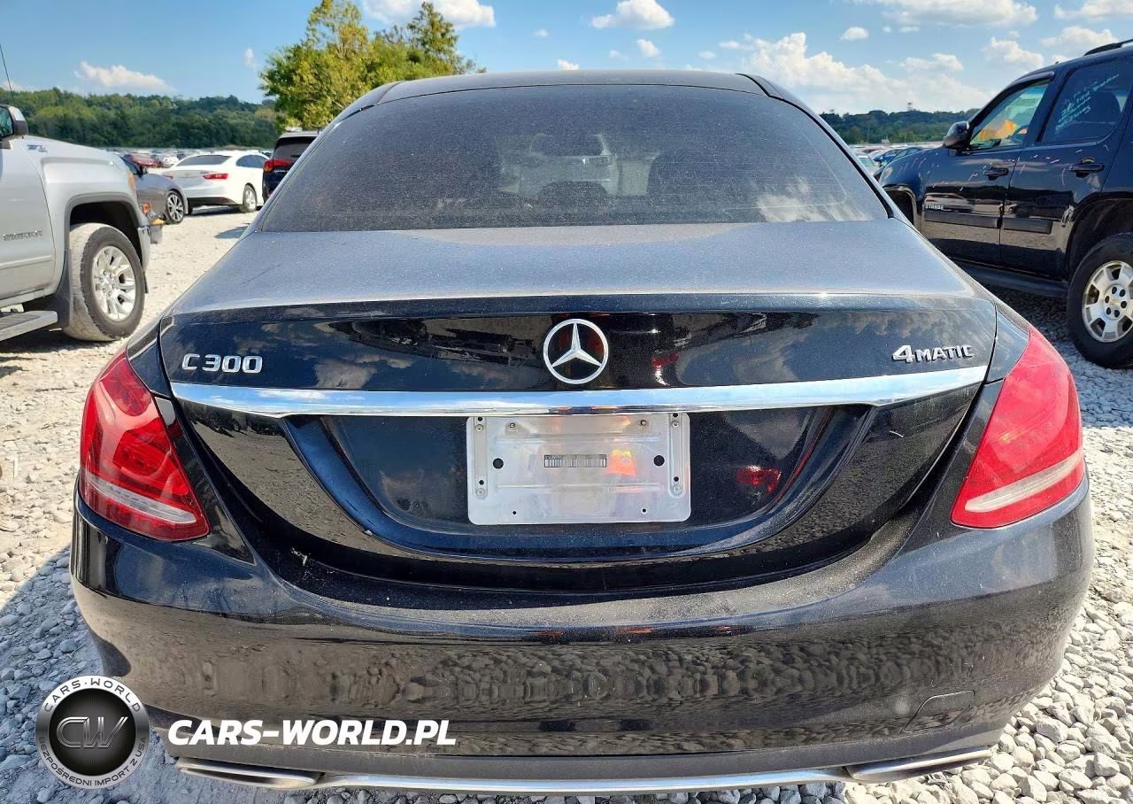 2015 Mercedes-Benz C 300 4Matic VIN:55SWF4KB6FU003735 - 6
