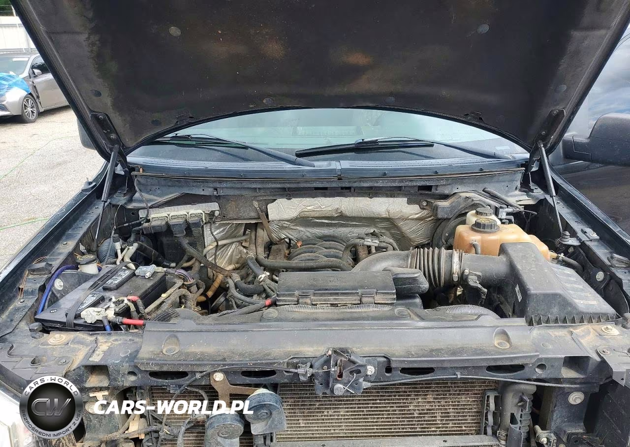 2013 Ford F150 Supercrew VIN:1FTFW1EFXDKD34493 - 11