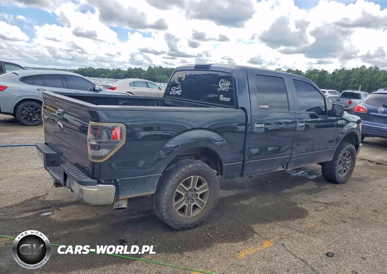 2013 Ford F150 Supercrew VIN:1FTFW1EFXDKD34493 - 3