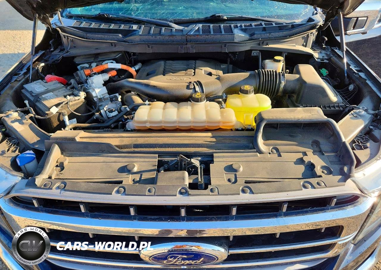 2022 Ford F150 Supercrew VIN:1FTFW1ED8NFA03842 - 11