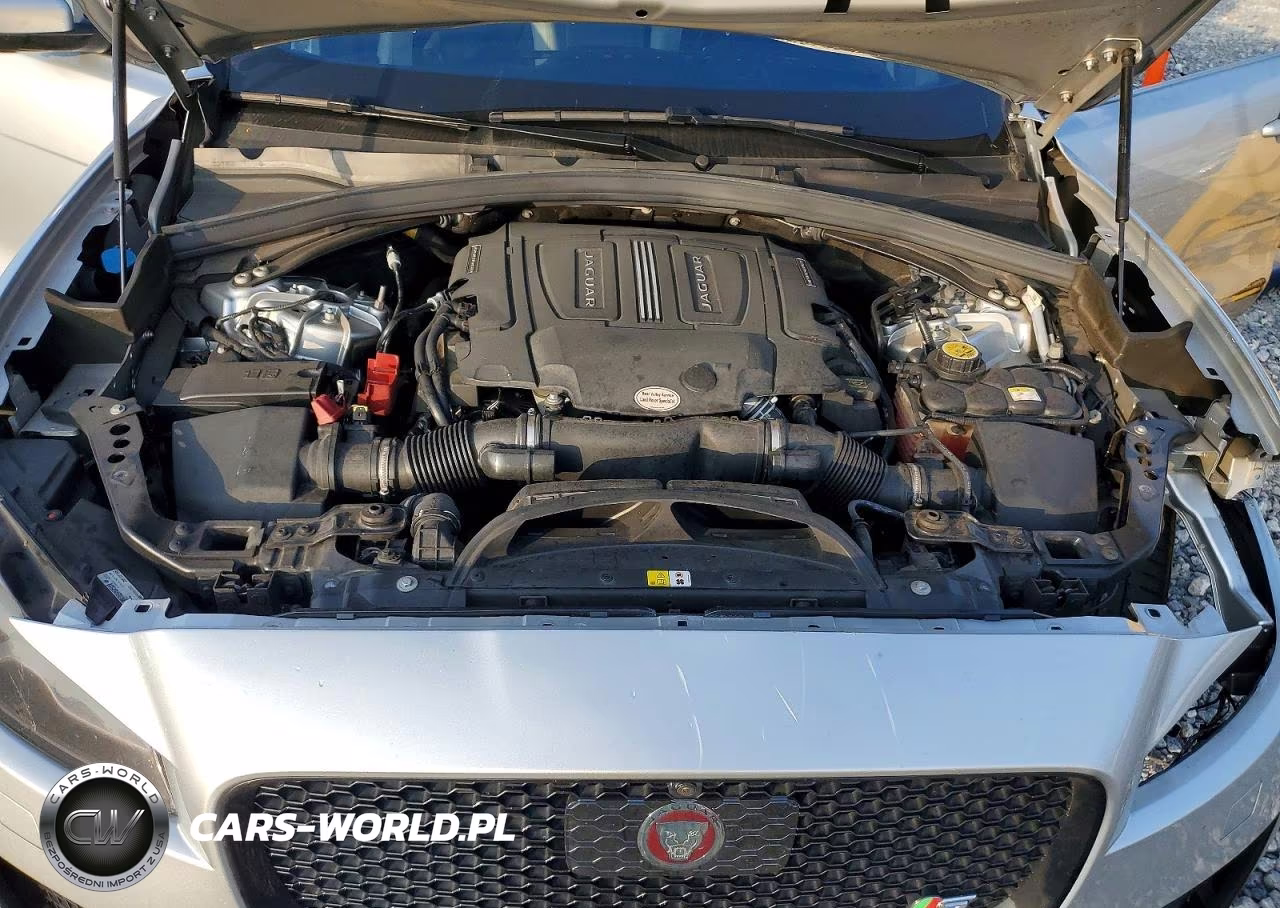 2019 Jaguar F-Pace S VIN:SADCM2FV0KA605380 - 12
