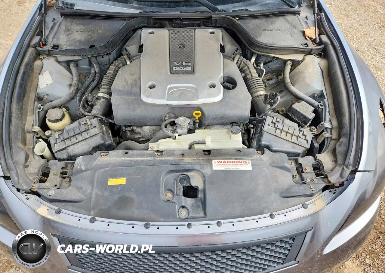 2011 Infiniti G37 Coupe X VIN:JN1CV6EL9BM260013 - 11