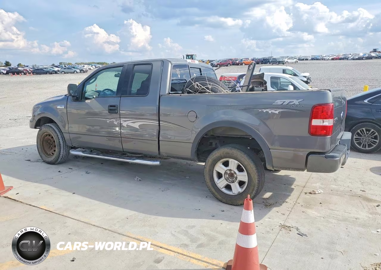 2004 Ford F150 VIN:1FTRX14W64NC08397 - 2