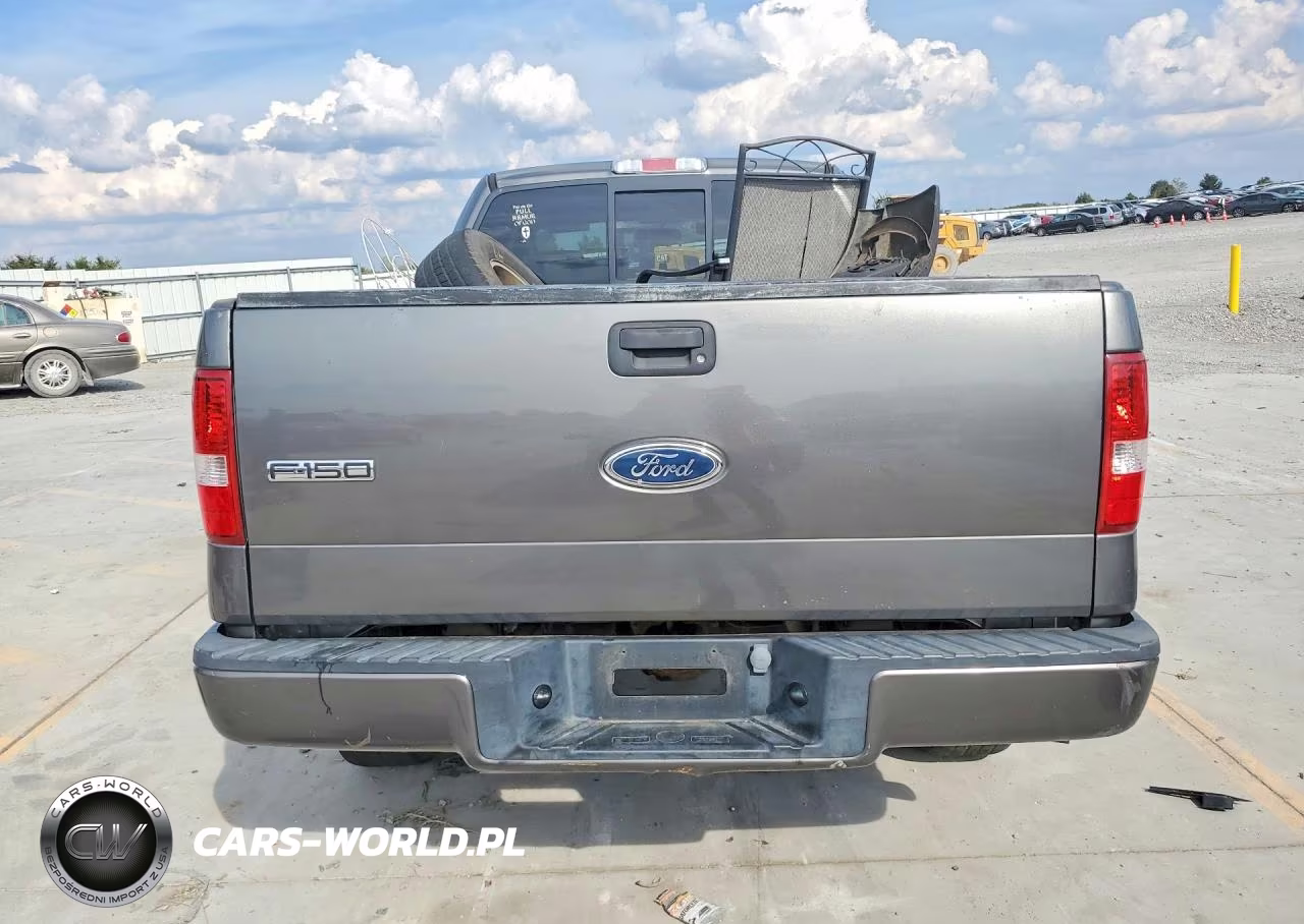 2004 Ford F150 VIN:1FTRX14W64NC08397 - 6