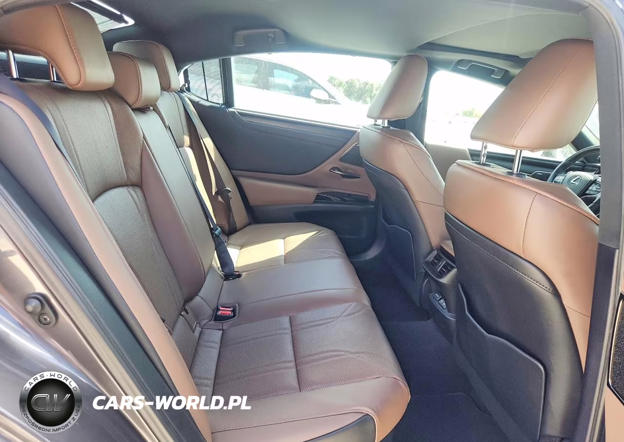 2024 Lexus Es 300H Ultra Luxury VIN:58AFA1C12RU050023 - 10