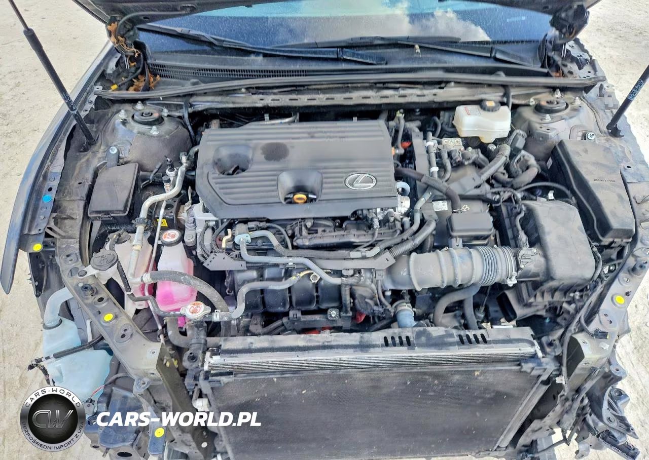 2024 Lexus Es 300H Ultra Luxury VIN:58AFA1C12RU050023 - 11