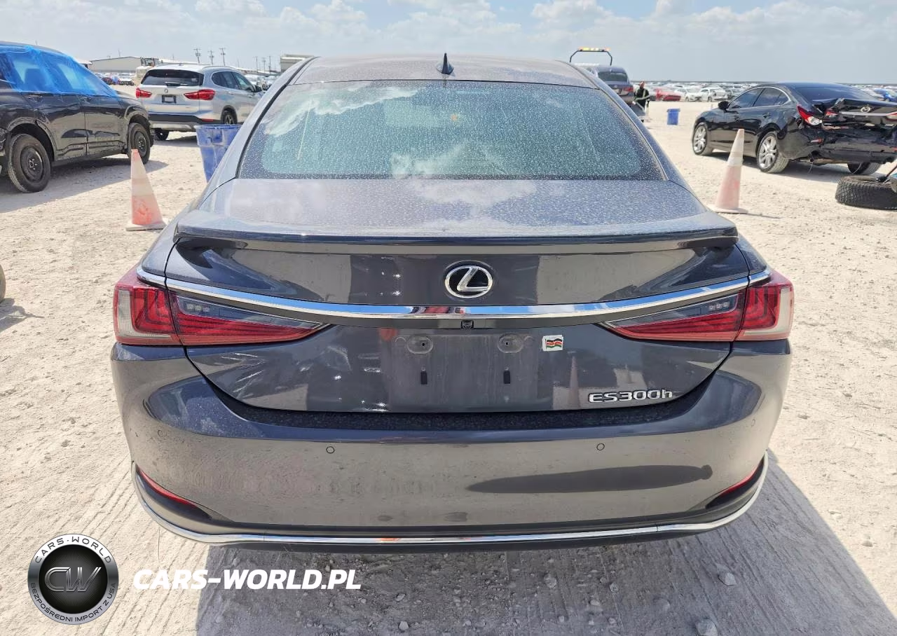 2024 Lexus Es 300H Ultra Luxury VIN:58AFA1C12RU050023 - 6