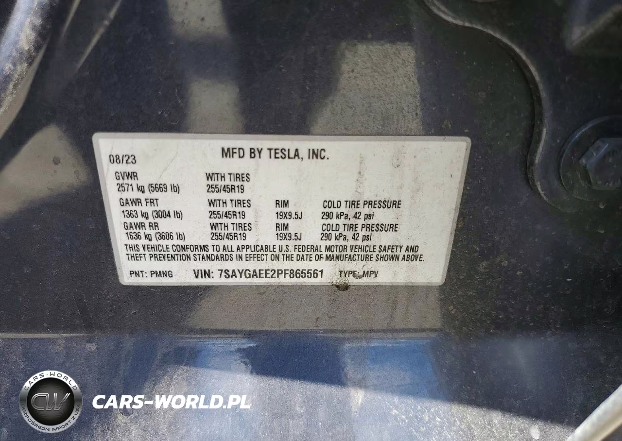 2023 Tesla Model Y VIN:7SAYGAEE2PF865561 - 12