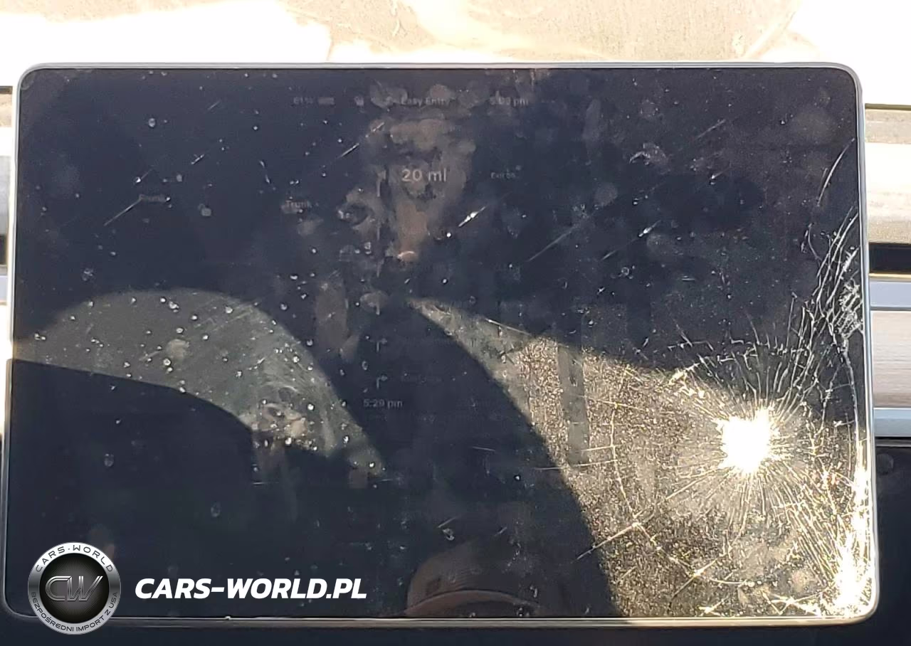 2023 Tesla Model Y VIN:7SAYGAEE2PF865561 - 9