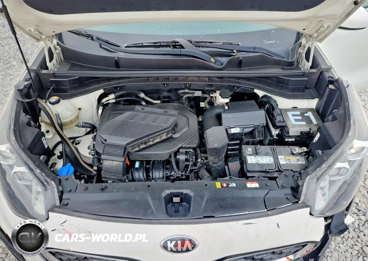 2020 Kia Sportage Lx VIN:KNDPMCAC0L7822113 - 12