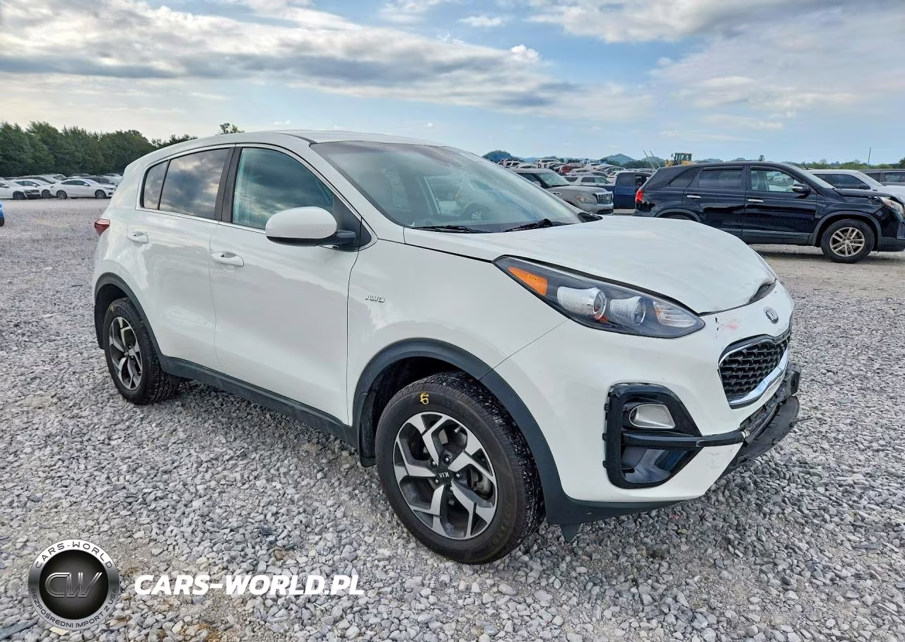2020 Kia Sportage Lx VIN:KNDPMCAC0L7822113 - 4