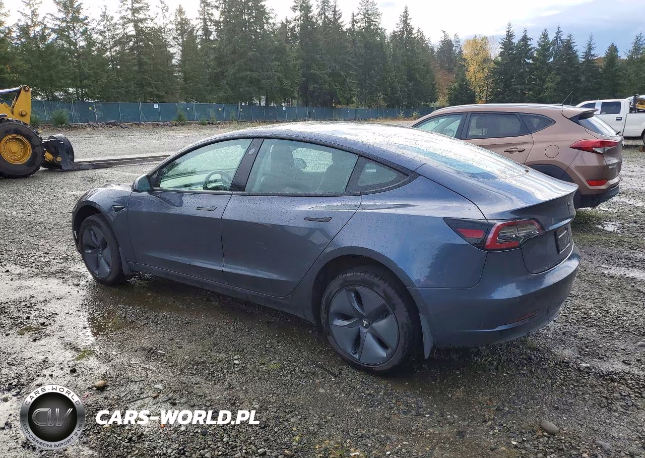 2020 Tesla Model 3 VIN:5YJ3E1EC5LF601644 - 2